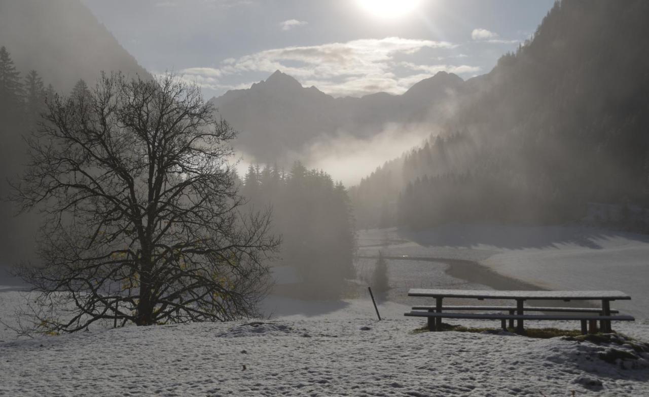 Guest house Tetter Schladming