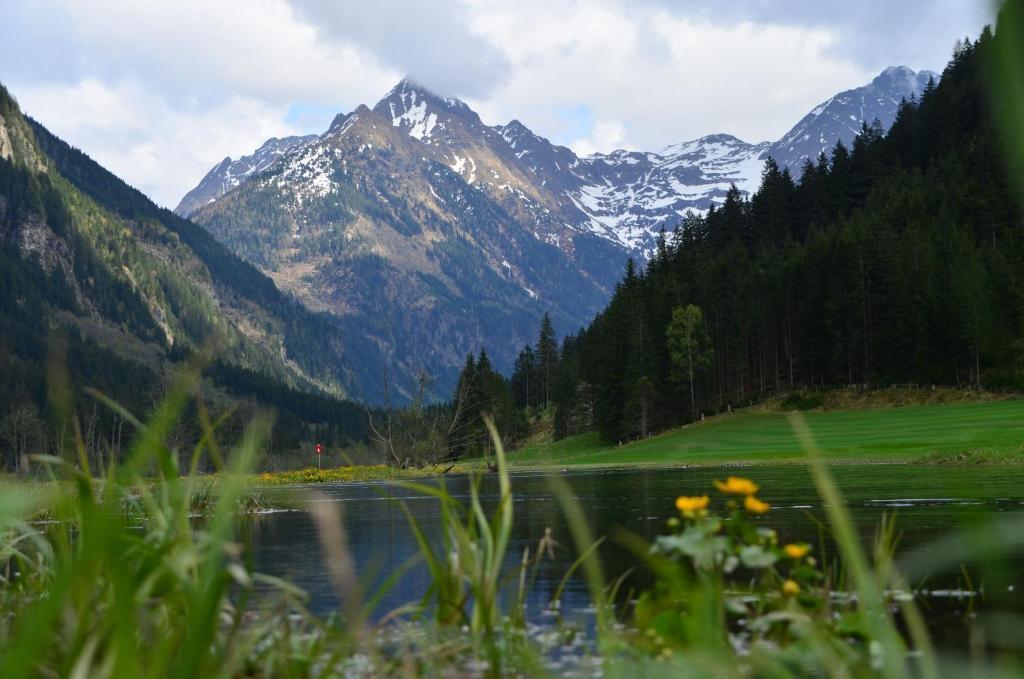Guest house Tetter Schladming