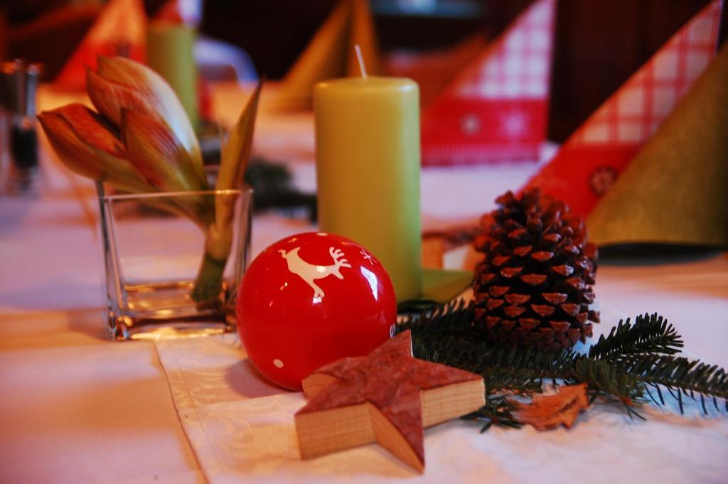 Tetter Guest house Schladming
