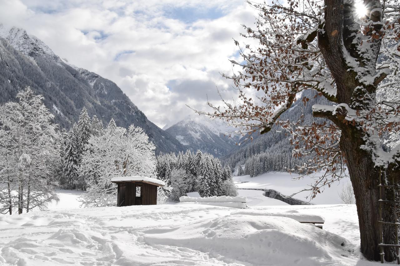 Tetter Guest house Schladming